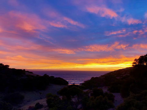 Sea Dragon Kangaroo Island - Kingaroy Accommodation 14