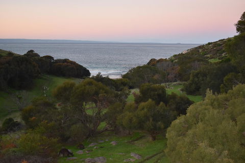 Sea Dragon Kangaroo Island - Kingaroy Accommodation 30