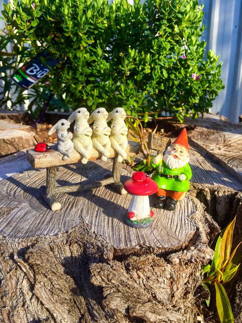 Inglenook Cottage - Kingaroy Accommodation 34