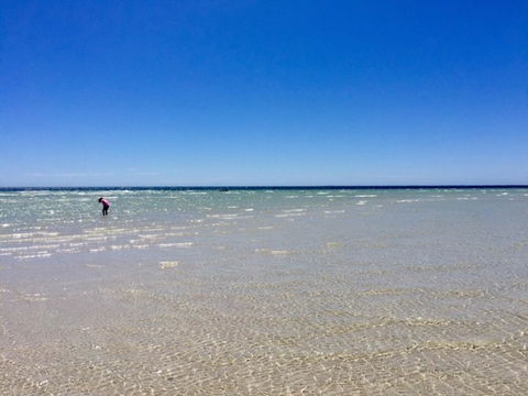 Inglenook Cottage - Kingaroy Accommodation 37