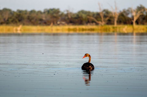 Discovery Parks - Lake Bonney - Kingaroy Accommodation 36