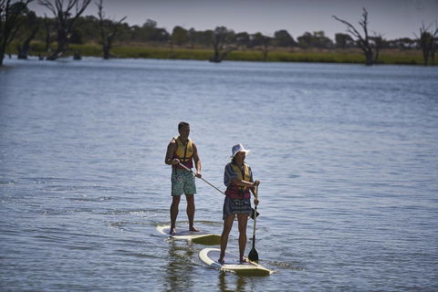 Discovery Parks - Lake Bonney - Kingaroy Accommodation 19