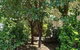 Olive\'s Cottage - thumb 8