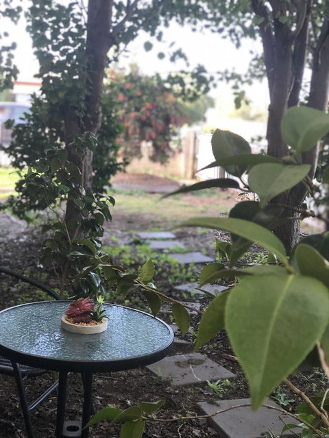 Olive\'s Cottage - Kingaroy Accommodation 2