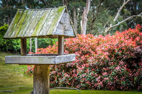 Ghost Hill Road Retreat - Kingaroy Accommodation 17