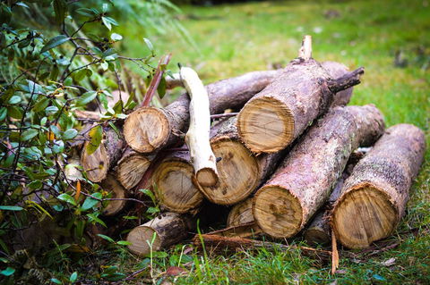 Ghost Hill Road Retreat - Kingaroy Accommodation 19