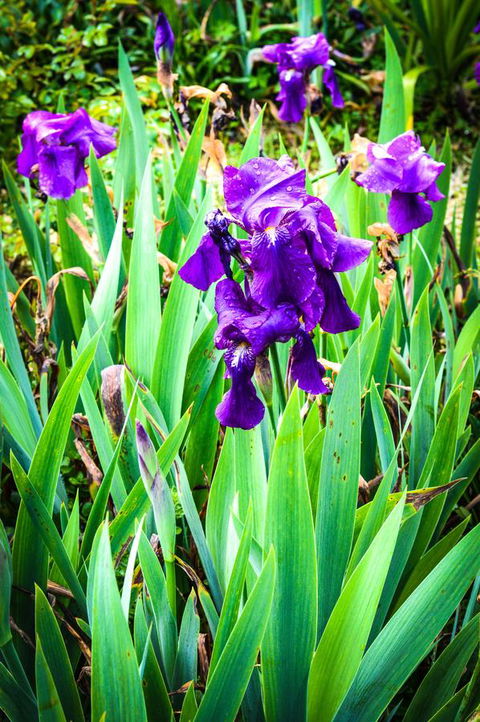 Ghost Hill Road Retreat - Kingaroy Accommodation 22