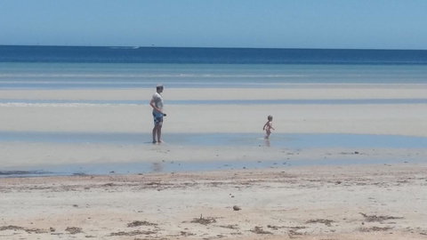 Wallaroo Sunset Home - Kingaroy Accommodation 16