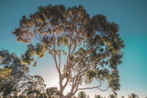 Seppelts View Cabins - Kingaroy Accommodation 24