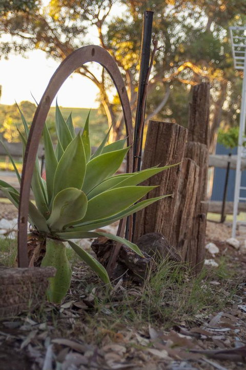 Seppelts View Cabins - Kingaroy Accommodation 37