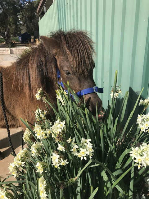 Seppelts View Cabins - Kingaroy Accommodation 14