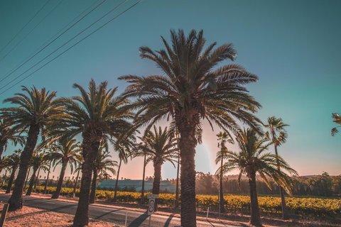 Seppelts View Cabins - Kingaroy Accommodation 18