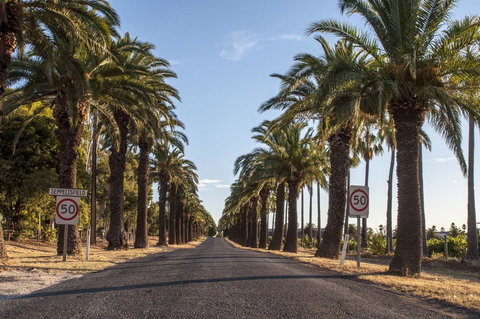 Seppelts View Cabins - Kingaroy Accommodation 43