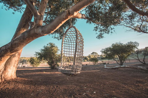 Seppelts View Cabins - Kingaroy Accommodation 15