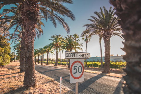 Seppelts View Cabins - Kingaroy Accommodation 6