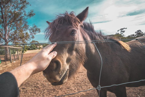 Seppelts View Cabins - Kingaroy Accommodation 28
