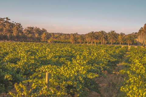 Seppelts View Cabins - Kingaroy Accommodation 8