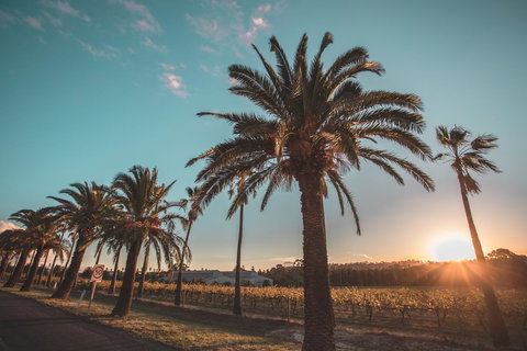 Seppelts View Cabins - Kingaroy Accommodation 2