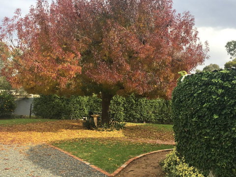 Barossa Retro BnB - Kingaroy Accommodation 30