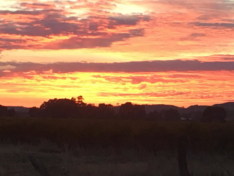 Barossa Retro BnB - Kingaroy Accommodation 21