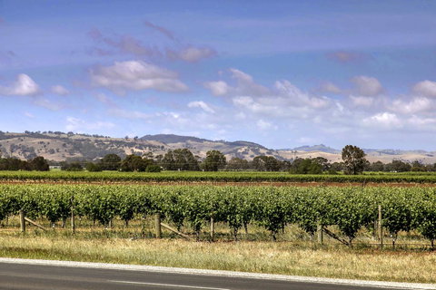 Barossa Retro BnB - Kingaroy Accommodation 2