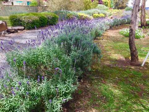 Barossa Retro BnB - Kingaroy Accommodation 23