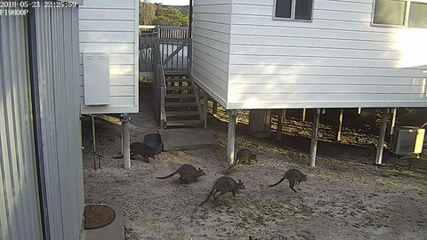 White Sands Holiday Retreat - Kingaroy Accommodation 13