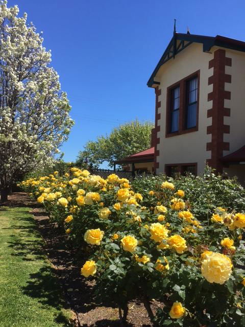 Wine And Roses Bed And Breakfast - Kingaroy Accommodation 5
