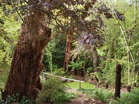 Hilltop - Kingaroy Accommodation 13