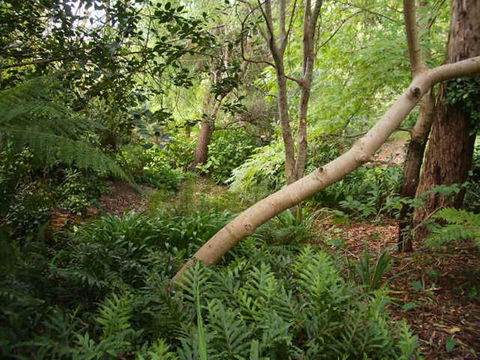 Hilltop - Kingaroy Accommodation 17