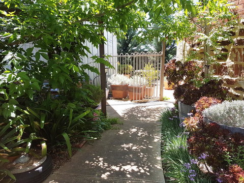 Little Para Cottage Tanunda - Kingaroy Accommodation 12