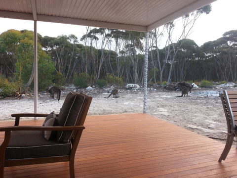 The Island House - Kingaroy Accommodation 1