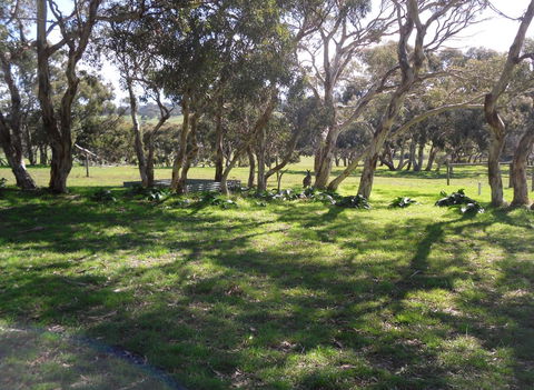 Wenton Farm Holiday Cottages - Kingaroy Accommodation 1