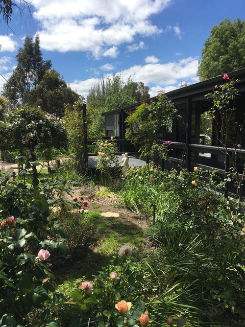 Hilltop Too - Kingaroy Accommodation 4