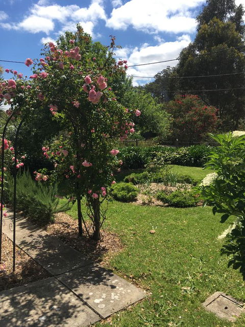 Hilltop Too - Kingaroy Accommodation 13