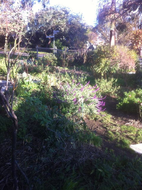Hilltop Too - Kingaroy Accommodation 12