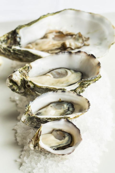 Port Lincoln Hotel - Kingaroy Accommodation 29