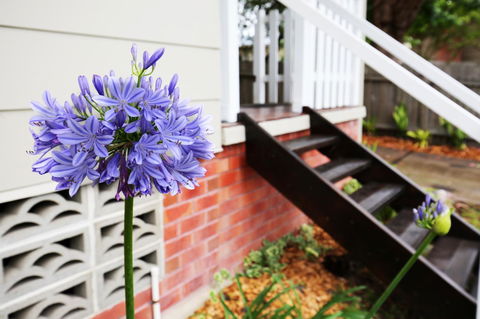 Hudson Bay @ Basin View-Pet Friendly-15 Mins To Hyams Beach - Kingaroy Accommodation 38