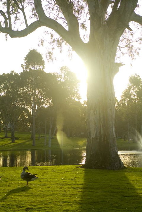 Serafino McLaren Vale - Kingaroy Accommodation 15