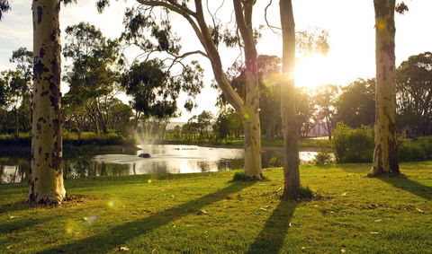 Serafino McLaren Vale - Kingaroy Accommodation 14