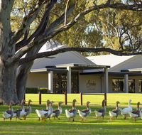 Serafino McLaren Vale - Kingaroy Accommodation