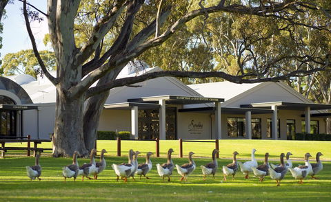 Serafino McLaren Vale - Kingaroy Accommodation 0
