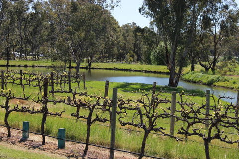 OXENBERRY FARM - Kingaroy Accommodation 19
