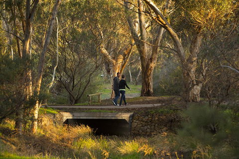 BIG 4 Barossa Tourist Park - Kingaroy Accommodation 26