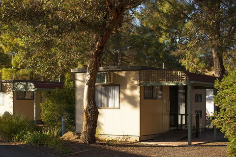 BIG 4 Barossa Tourist Park - Kingaroy Accommodation 33