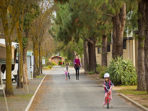 BIG 4 Barossa Tourist Park - Kingaroy Accommodation 36