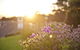 Kangaroo Island Seaside Inn - thumb 33