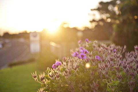 Kangaroo Island Seaside Inn - Kingaroy Accommodation 33