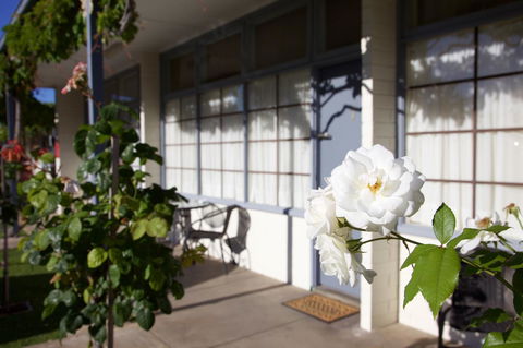 Guichen Bay Motel - Kingaroy Accommodation 33
