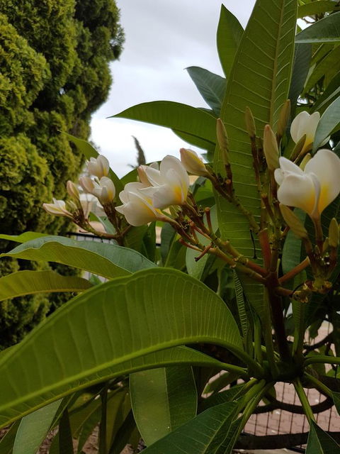 Port Pirie Accommodation And Apartments - Kingaroy Accommodation 11